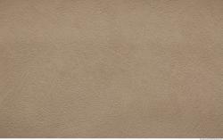 Photo Textures of Wallpapers #8